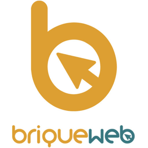 BRIQUE WEB 1